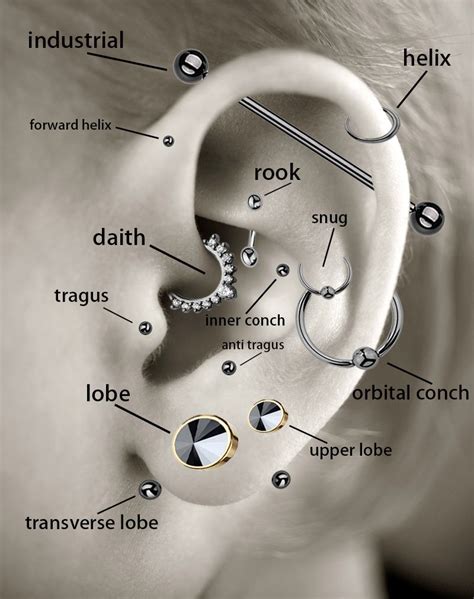 eikel.piercing|17 Types of Ear Piercings Based on Pain and。